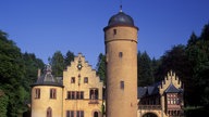 Blick über einen Wassergraben auf Schloss Mespelbrunn