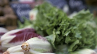 Salat auf einem Marktstand - Radiccio und Blattsalat.