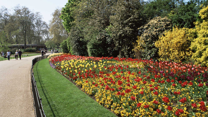 Ein Frühlingspark.