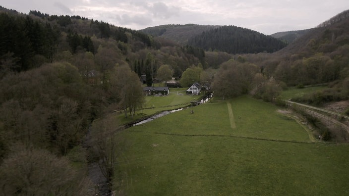 Screenshots aus dem Film "Die Rückkehr des Eifelwaldes"