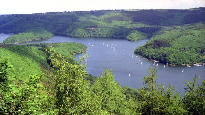 Blick über bewaldete Hügel auf den Rursee.