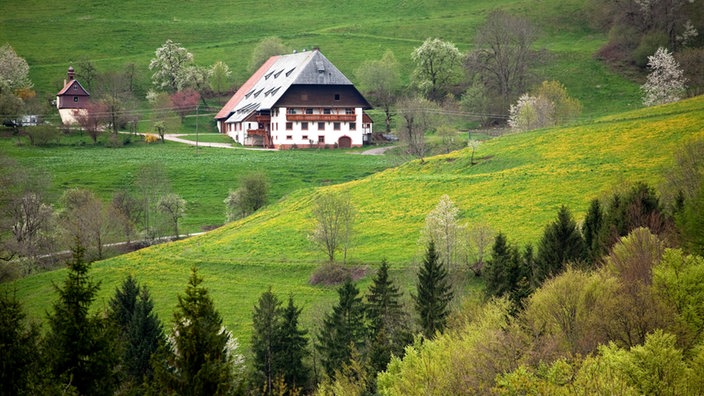 Bauernhof im Schwarzwald