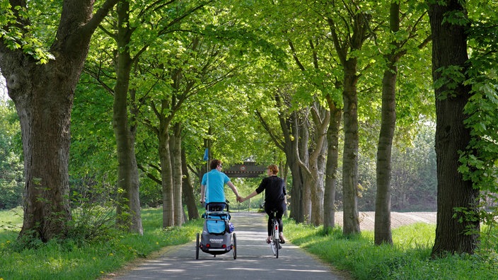 Kleine Alleestraße mit zwei Fahrradfahrern