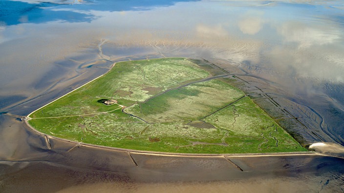 Hallig Südfall aus der Luft.