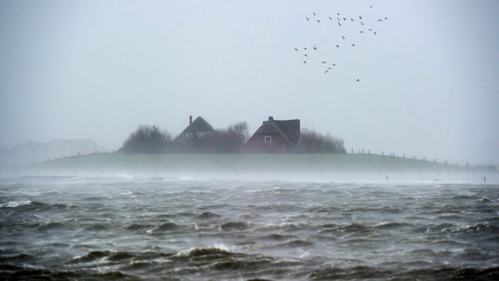 Hallig bei "Land unter"