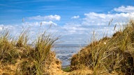 Blick vom Morsum-Kliff auf die See.