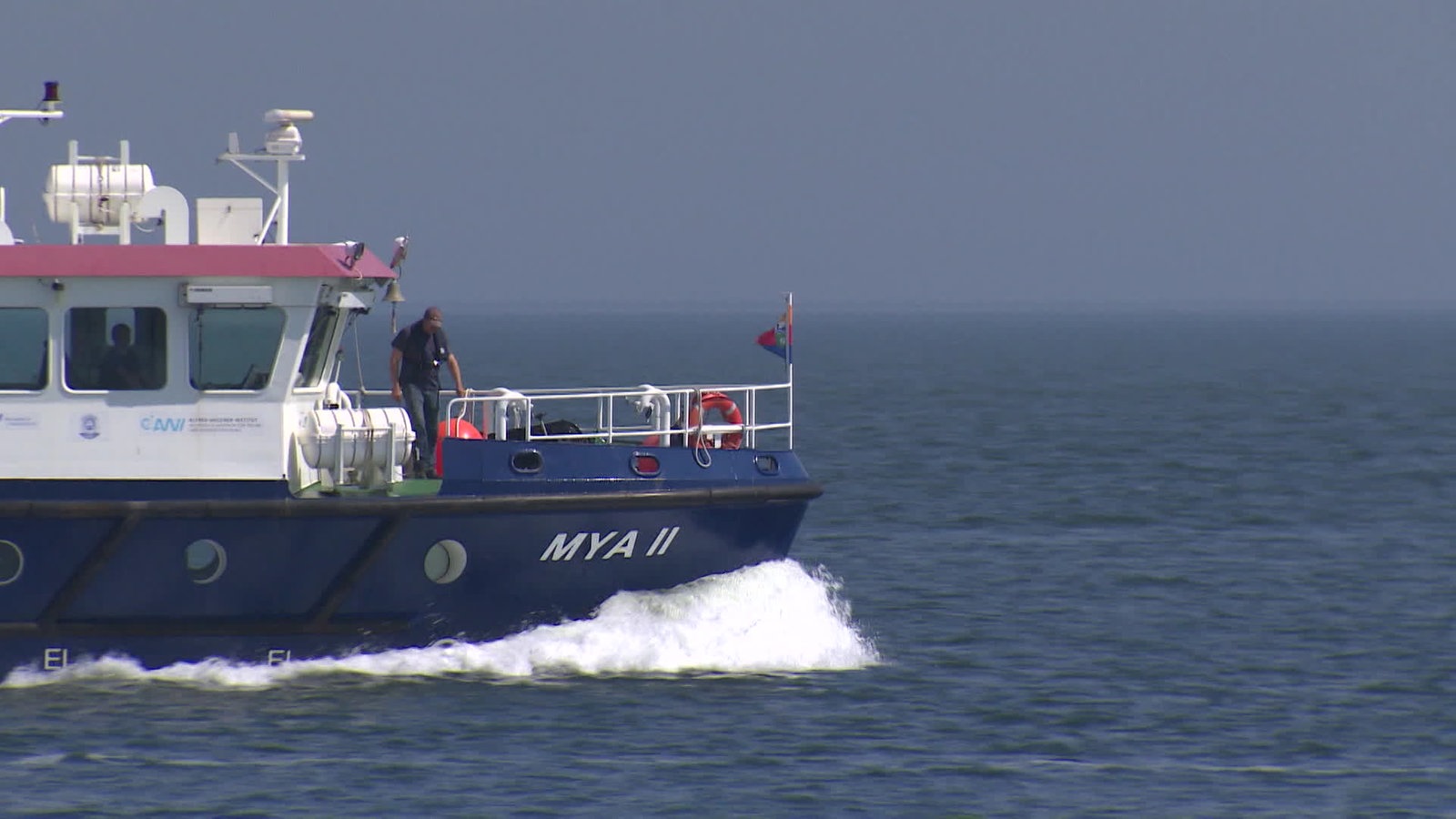 Screenshot aus dem Film "Der Klimawandel bedroht das Wattenmeer"