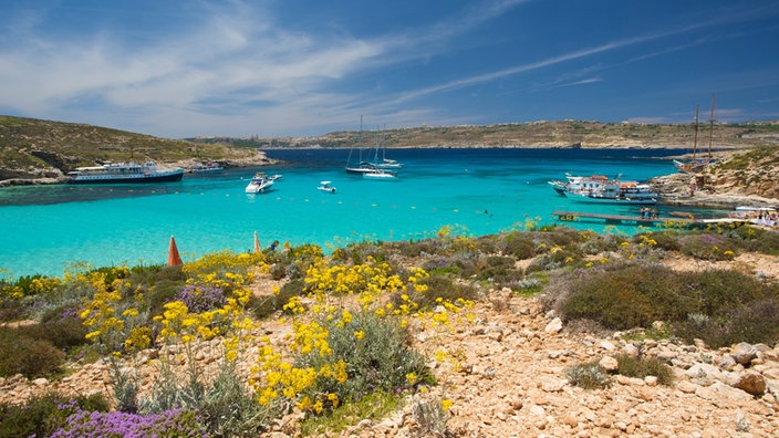 Bucht mit Booten auf Comino