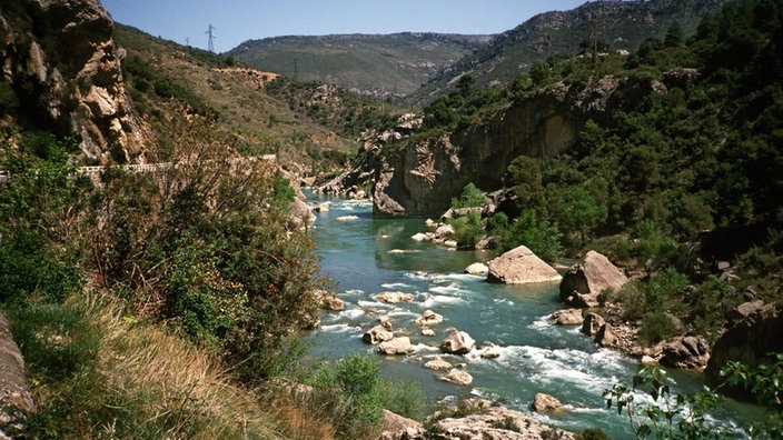 Raue Landschaft mit Gebirgsbach in der Nähe von Jacca in den spanischen Pyrenäen.