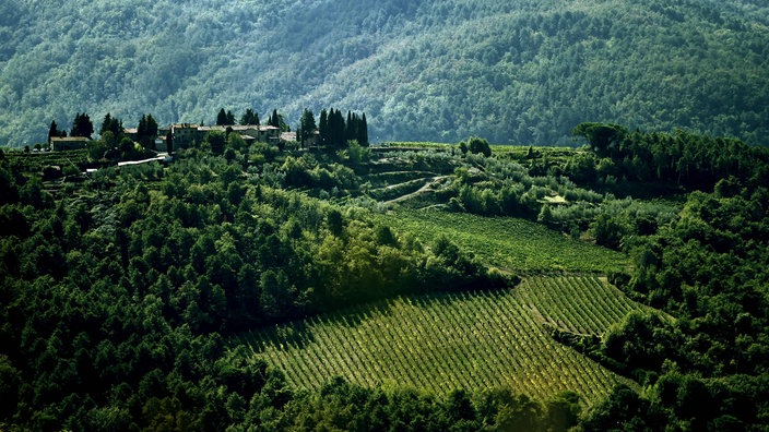 Weinhänge im Chiantigebiet