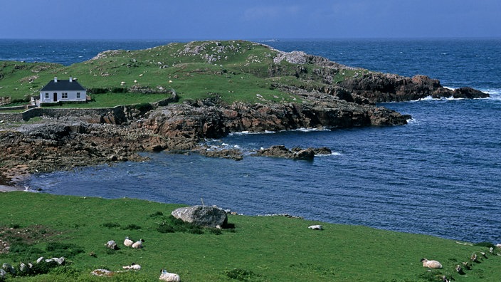 Haus und Schafe in Donegal, Rosguill Halbinsel