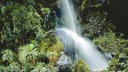 Wasserfall in einem tropisch bewaldetem Gebiet in Uganda.