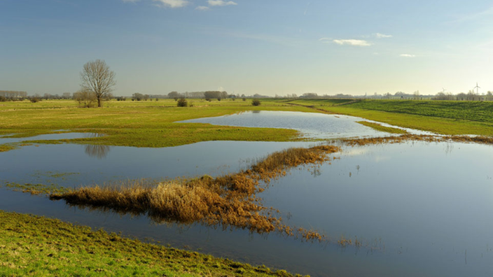 Hochwasser am Niederrhein.