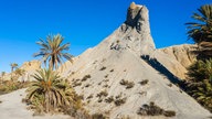 Ein spitzer Hügel aus erodiertem Sandstein ist umrandet von Palmen und Gräsern.