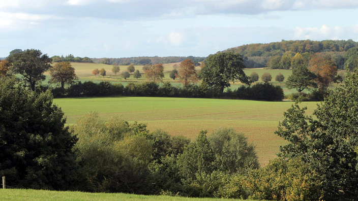 Knicklandschaft in Schleswig-Holstein.