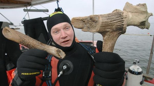 Der Forschungstaucher und Archäologe Harald Lübke vom Deutschen Archäologischen Institut zeigt nach einem Tauchgang im Breetzer Bodden vor der Insel Rügen Teile eines Rothirschgeweihs.