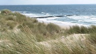 Strand und Dünen in Zeeland. Im Hintergrund ist die stürmische Nordsee zu sehen.