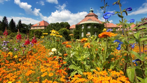 Üppig blühende Blumen in einem Schlossgarten.