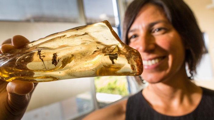 Eine Frau hält einen Bernstein von gut 20 Zentimetern Länge