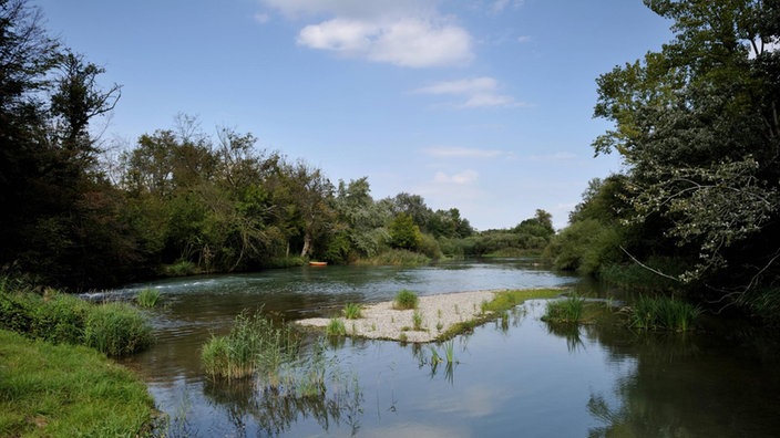 Blick auf eine natürliche Auenlandschaft mit offenem Wasser.