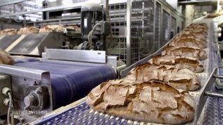 Brotlaibe auf einem Förderband in einer Großbäckerei.