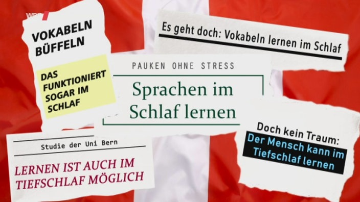 Eine Collage aus Zeitungs-Schlagzeilen zum Thema "Lernen im Schlaf"