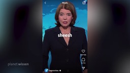 Susanne Daubner als Tagesschau-Sprecherin, vor ihr wird der Begriff 'sheesh' eingeblendet.