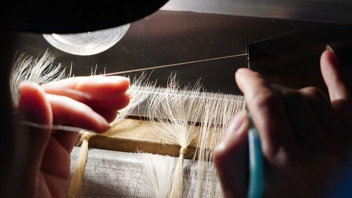 Chinesischer Seidenspinner bei der Arbeit